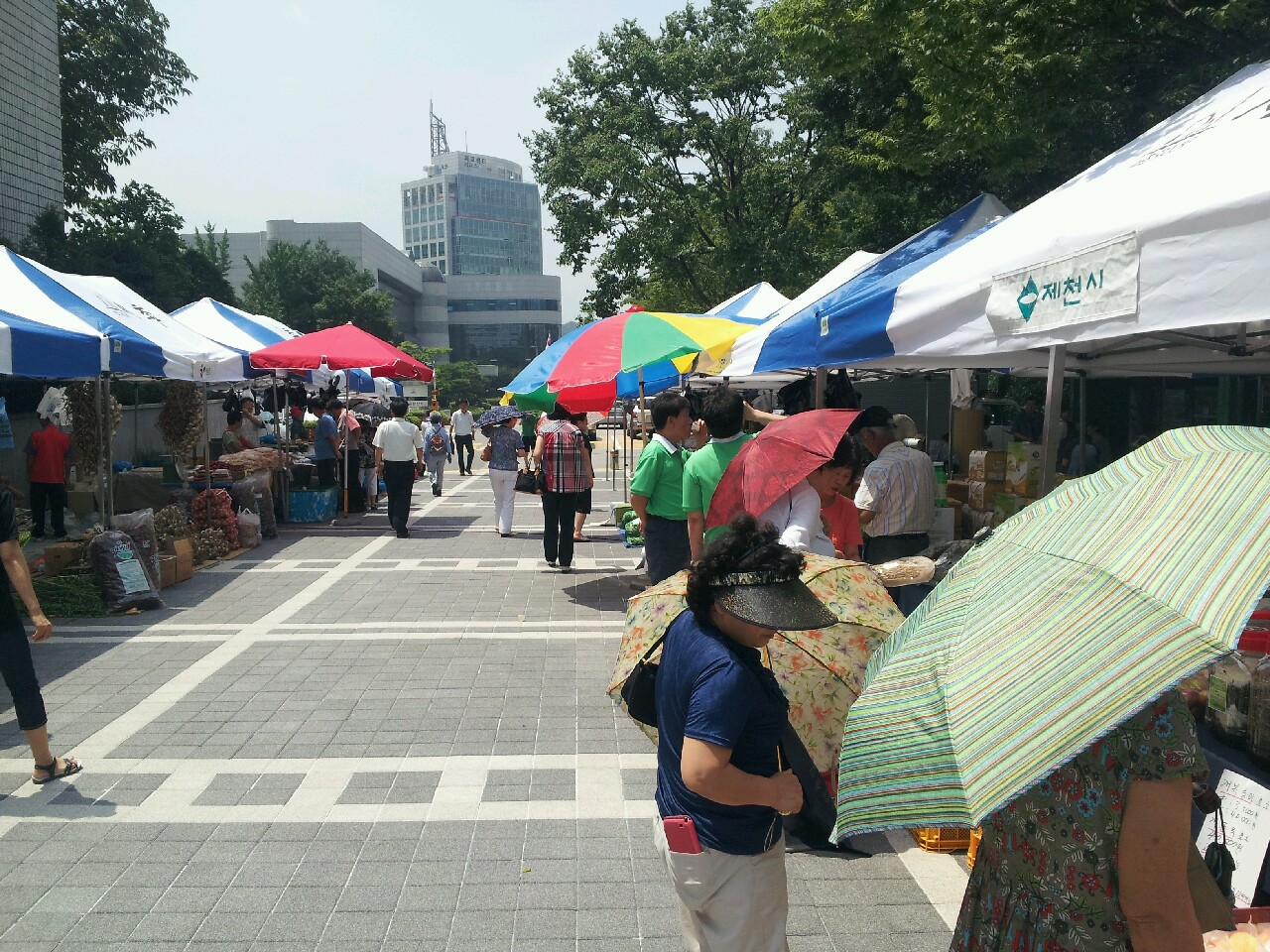 서초장날